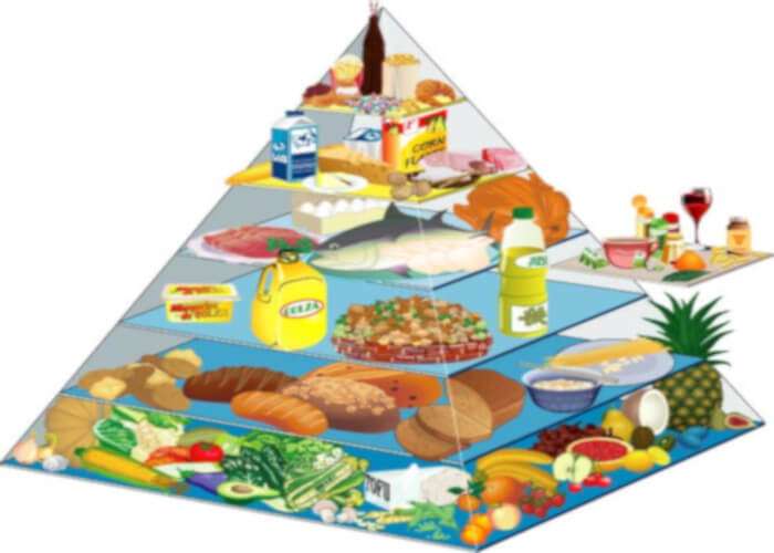 pyramide alimentation