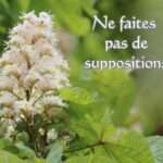 Ne faites pas de suppositions